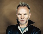 sting-007 (1)