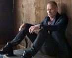 sting-1