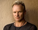 sting-2