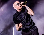 CHESTER-2